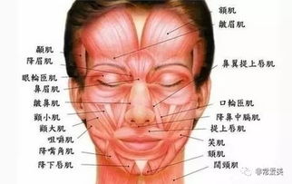 打過(guò)肉毒素后應注意事項