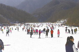 老界嶺滑雪注意事項