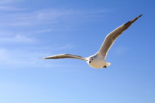 上海一位父親立下遺囑：女兒，你的孝心只值1塊錢