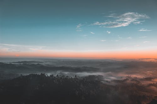 《觀(guān)刈麥》詩(shī)詞賞析及譯文