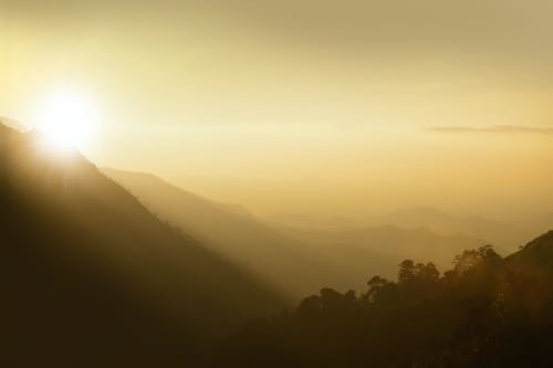半路父子經(jīng)典臺詞