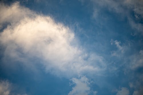 校園詩(shī)歌朗誦活動(dòng)總結