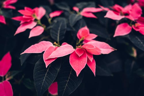 兒童節祝福QQ問(wèn)候語(yǔ)匯編38條