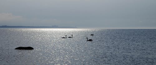 微信祝福語(yǔ)短信大全