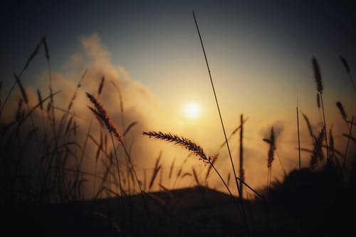 救救我美文