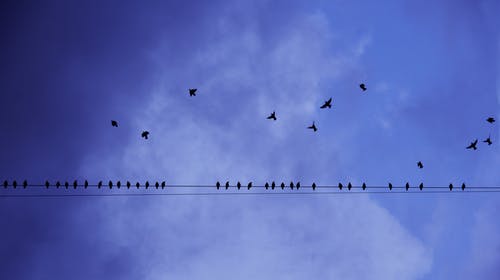 2020年父親節給爸爸的祝福語(yǔ)微信摘錄22條