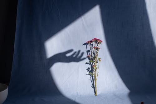 《天生一對》劇中的經(jīng)典臺詞