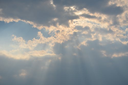 秋風(fēng)引原文、翻譯及賞析