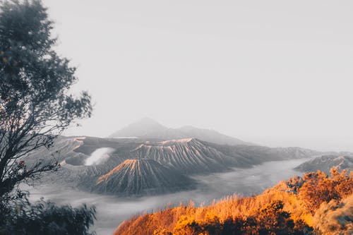 五年級寫(xiě)人作文母親的關(guān)愛(ài)