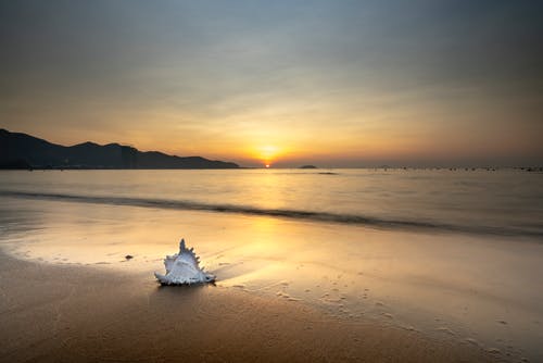 2020年祝小滿(mǎn)快樂(lè )的祝福語(yǔ)集合54條