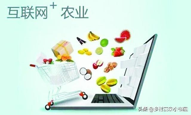 農(nóng)村電商創(chuàng)業(yè)典型案例？