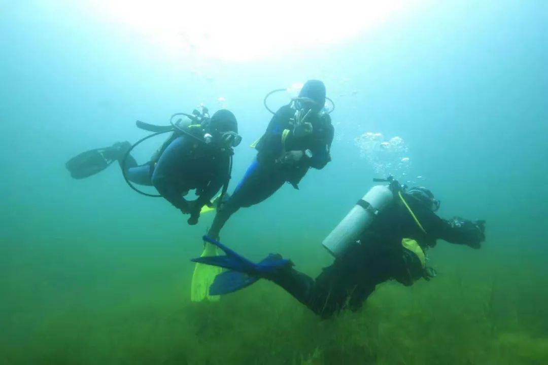 重線下體驗(yàn)的潛水運(yùn)動(dòng)，如何通過線上的系統(tǒng)化運(yùn)營做到GMV翻8倍