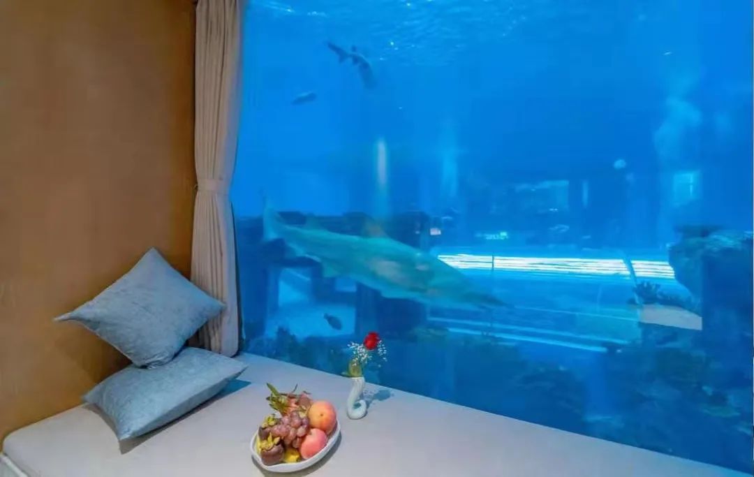 重線下體驗(yàn)的潛水運(yùn)動(dòng)，如何通過線上的系統(tǒng)化運(yùn)營做到GMV翻8倍