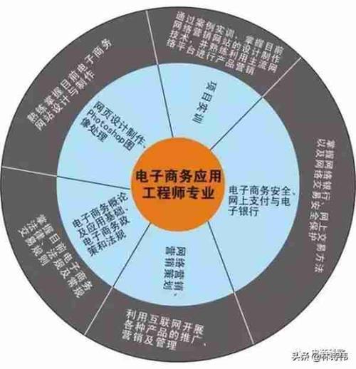 大專電子商務主要學什么