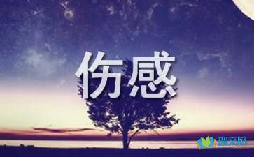 隨筆散文：傷感的心，憔悴一個人的冷