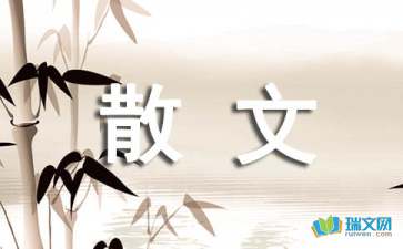 給你的一封信散文隨筆