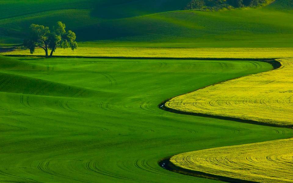 新媒體圈層是什么意思(分享新媒體背后的社群圈層化)