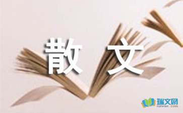 無(wú)處安放的流年隨筆散文