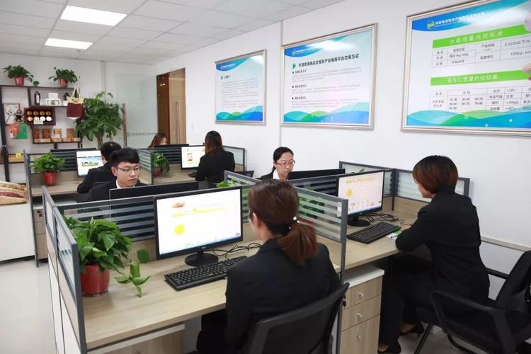 電商專業(yè)的工作人員平時的工作內(nèi)容是什么？