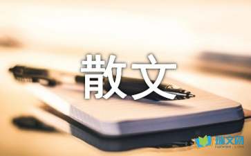 冷不掉的孤傲散文隨筆