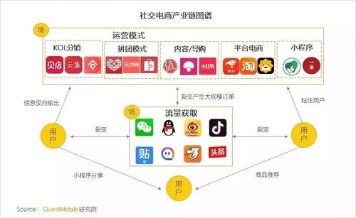 傳統(tǒng)電商和社交電商有什么區(qū)別啊？