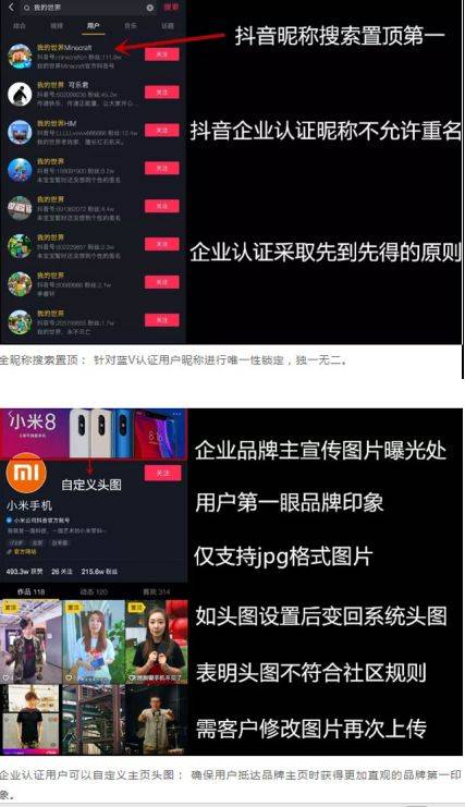 藍(lán)v是什么意思？