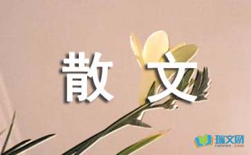 600字隨筆寫景抒情散文