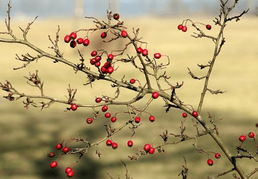 致自己的經(jīng)典句子 致自己的經(jīng)典句子