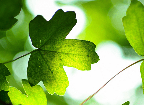 點(diǎn)贊超高的經(jīng)典說說（60條）