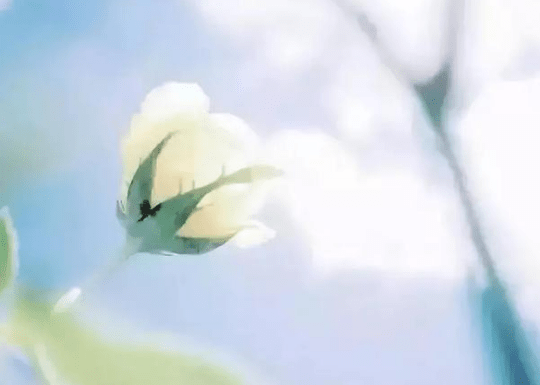 關(guān)于考試幽默的經(jīng)典說(shuō)說(shuō)（50條）