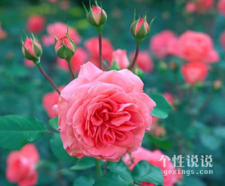 觸動心弦簡單的經(jīng)典說說（54條）