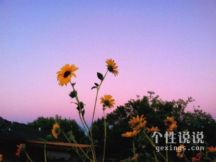 心靈雞湯勵(lì)志的經(jīng)典說(shuō)說(shuō)（55條）