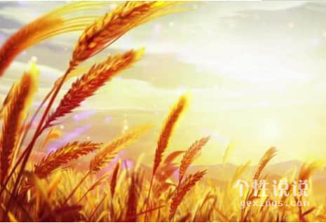 2019句句走心的經(jīng)典說(shuō)說(shuō)（60條）