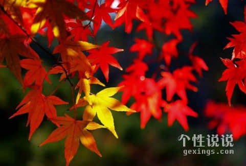 適合發(fā)朋友圈說早安的經典說說（44條）
