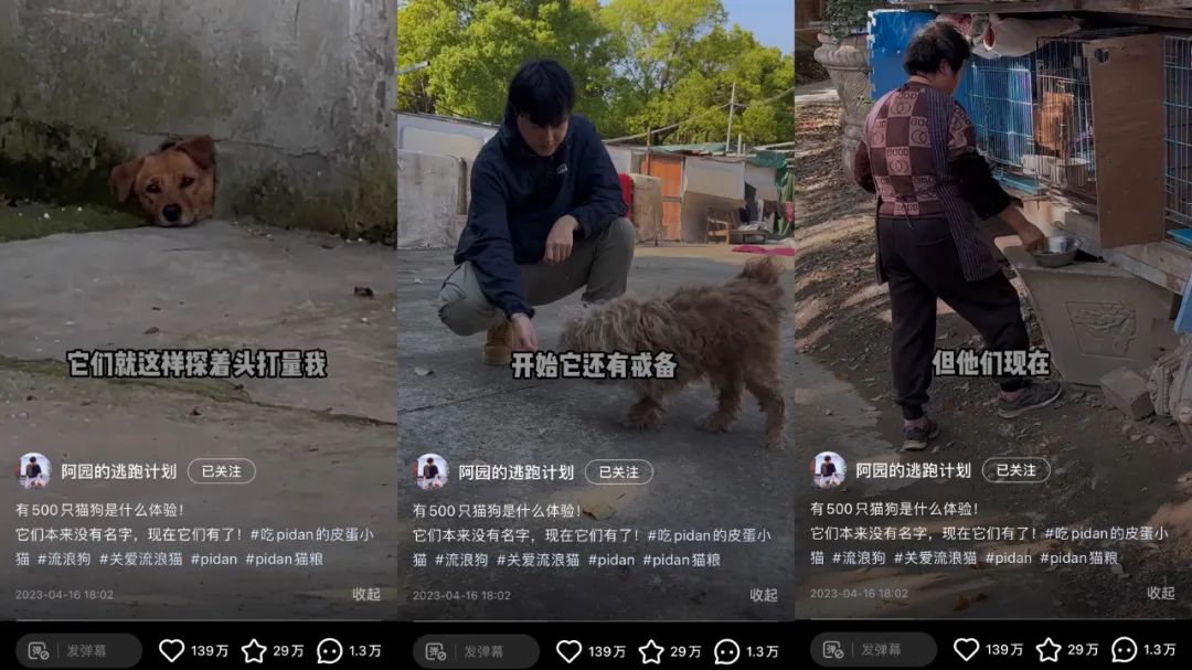 兩條廣告點(diǎn)贊破100萬，他是2023年的爆款制造機(jī)