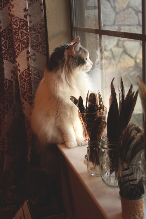 說(shuō)說(shuō)心情短語(yǔ)人生感悟 不要因?yàn)闆](méi)有掌聲而放棄自己的夢(mèng)想