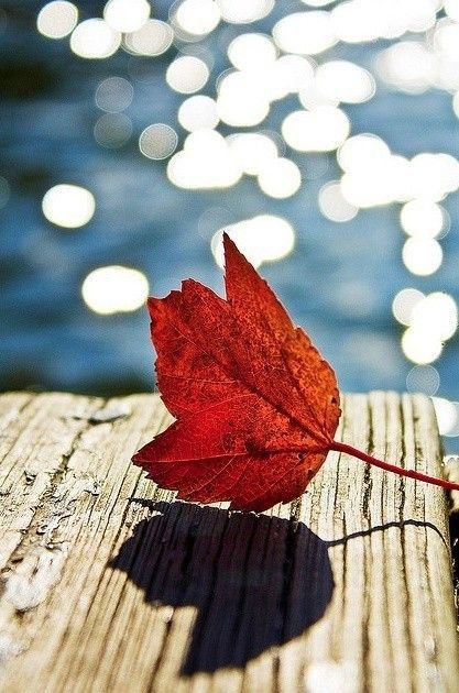 迎接新年的經(jīng)典說(shuō)說(shuō)句子