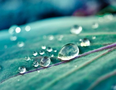 人生的勝者決不會(huì)在挫折面前失去勇氣