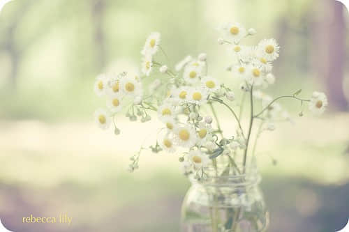 一個(gè)人孤單的經(jīng)典說(shuō)說(shuō) 一個(gè)人孤單的經(jīng)典說(shuō)說(shuō)