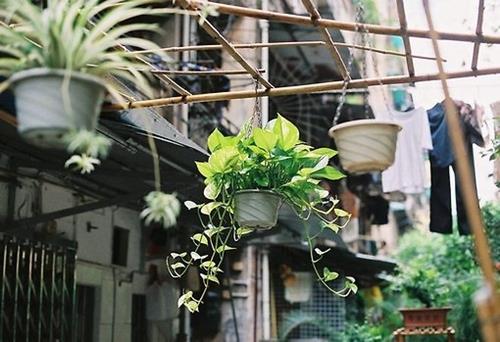 一句話個(gè)性說(shuō)說(shuō)超吸睛 就活這么一次，大膽點(diǎn)