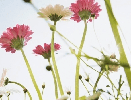 2021年最新傷感說說大全 一句話戳中心窩的句子