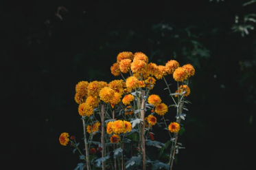 2021年最新傷感說說大全 瞬間讓人崩潰的句子 2021年最新傷感說說大全 瞬間讓人崩潰的句子