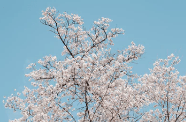 宣泄失落情緒的傷感說說（14句）