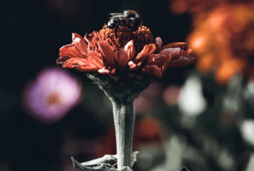 適合深夜發(fā)的傷感說說（15句）