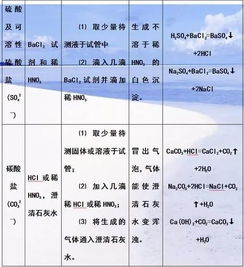基礎知識,初中化學(xué),測試