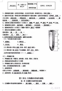 初1基礎知識點(diǎn)