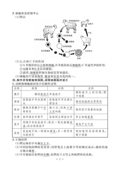 生物必備基礎知識點(diǎn)初中,初中生物基礎知識點(diǎn)總結,初中生物知識點(diǎn)總結