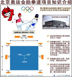 跆拳道理論基礎知識
