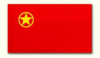 中學(xué)共青團基礎知識測試題