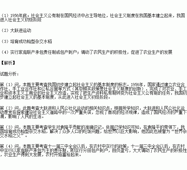 考題,三農,基礎知識